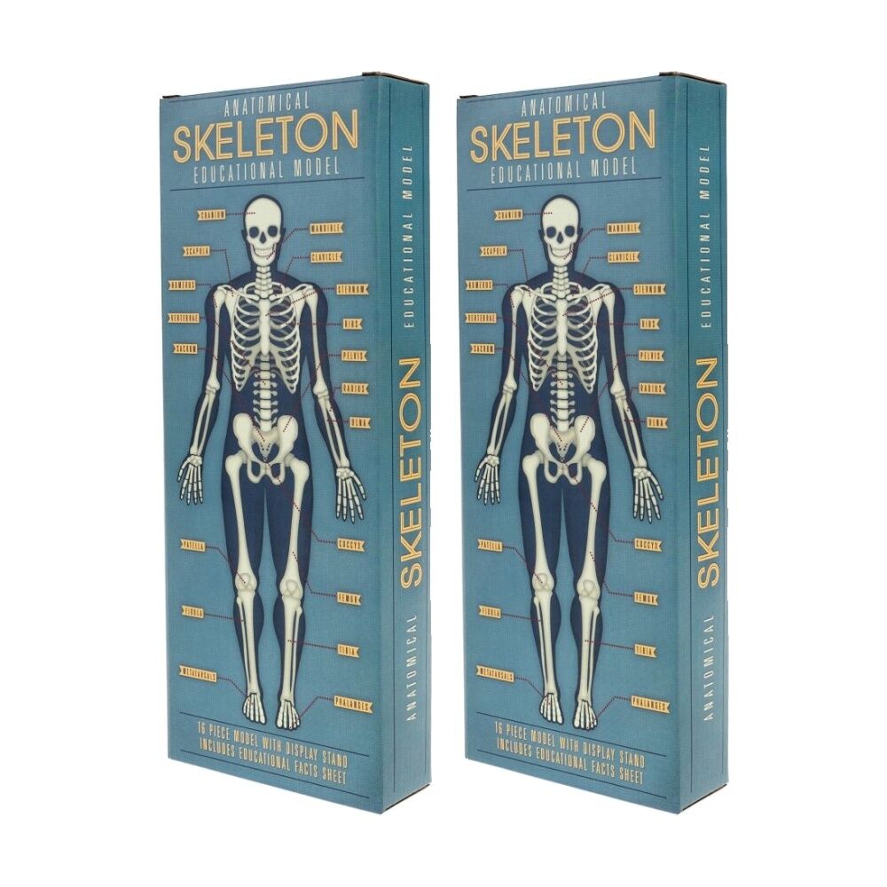 Educational Toys