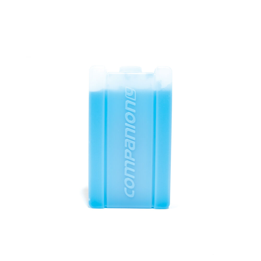 10PK Companion 350ml Ice Travel Cooler Brick Medium 16x9cm - Blue