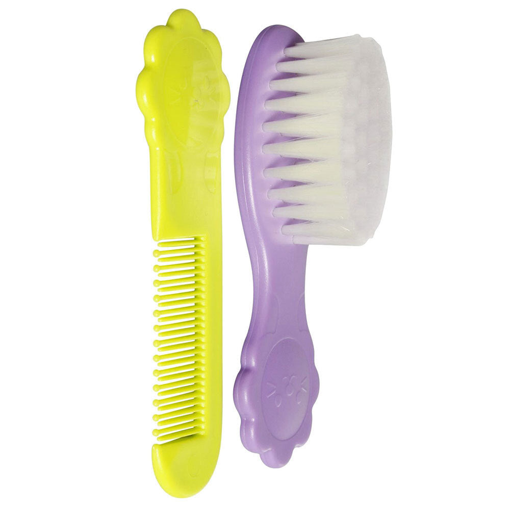 Pigeon Comb and Brush
