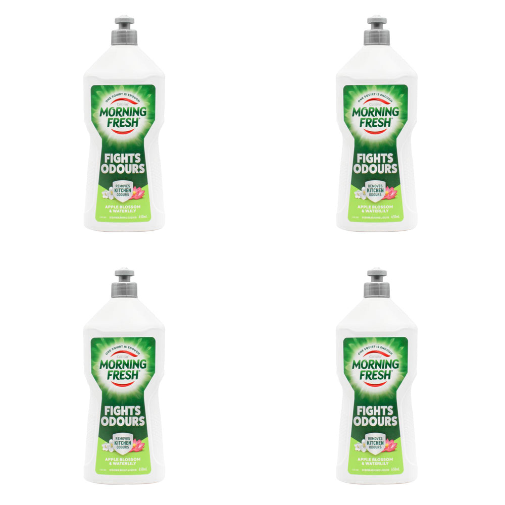 4PK Morning Fresh Dishwashing Liquid 650ml Apple Blossom & Waterlily