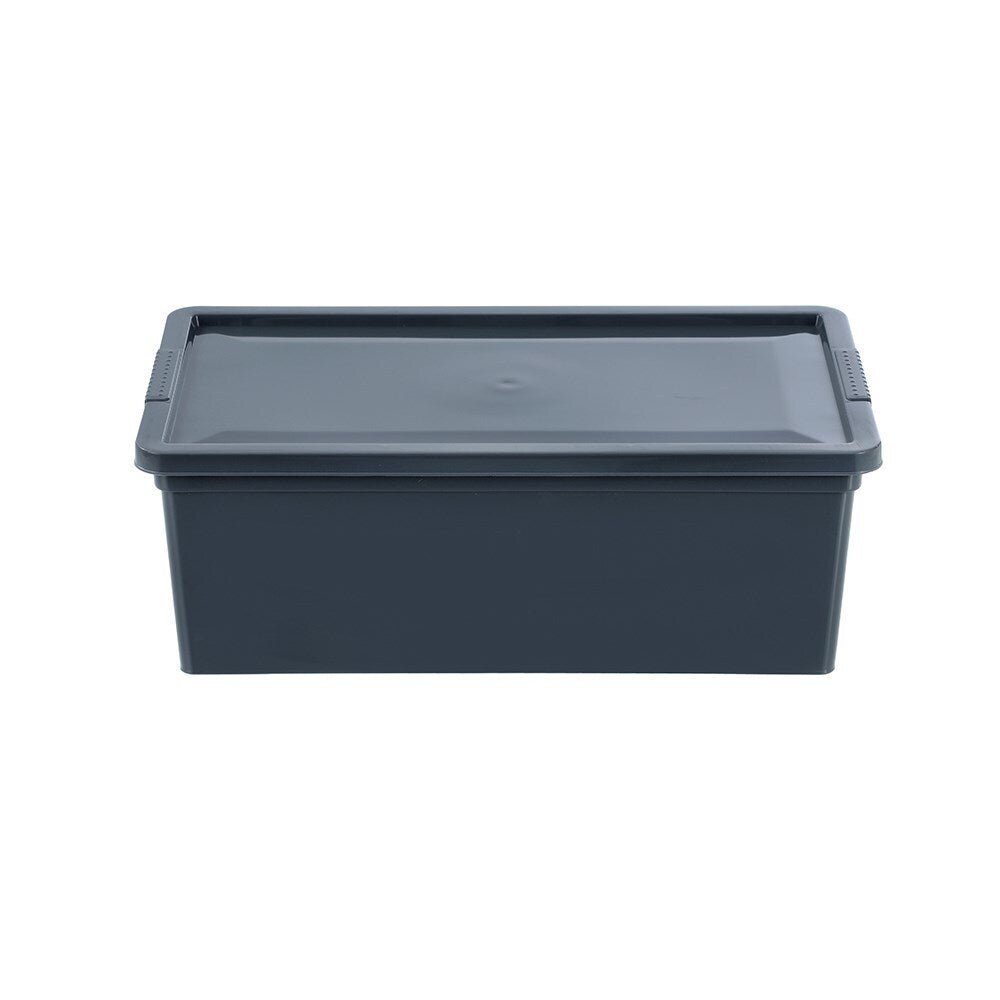 12PK Boxsweden Essentials 6L/33.5cm Stackable Tub w/ Lid - Assorted