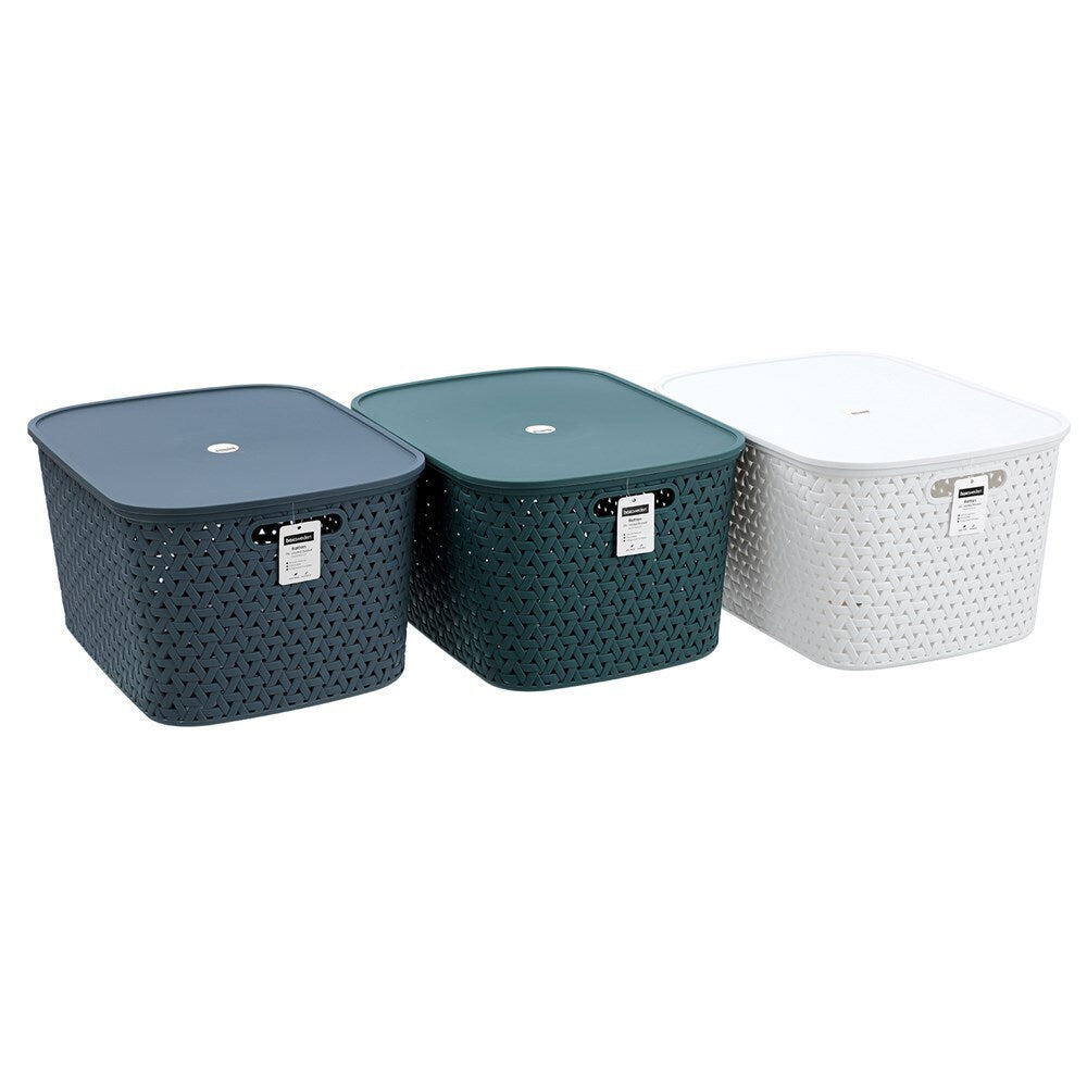 12PK Boxsweden Woven Rattan 26L/40cm Lidded Basket Storage - Assorted