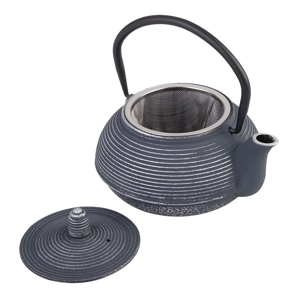 Teaology Traditional Japanese Design Cast Iron Teapot 600ml Dark Blue/Silver