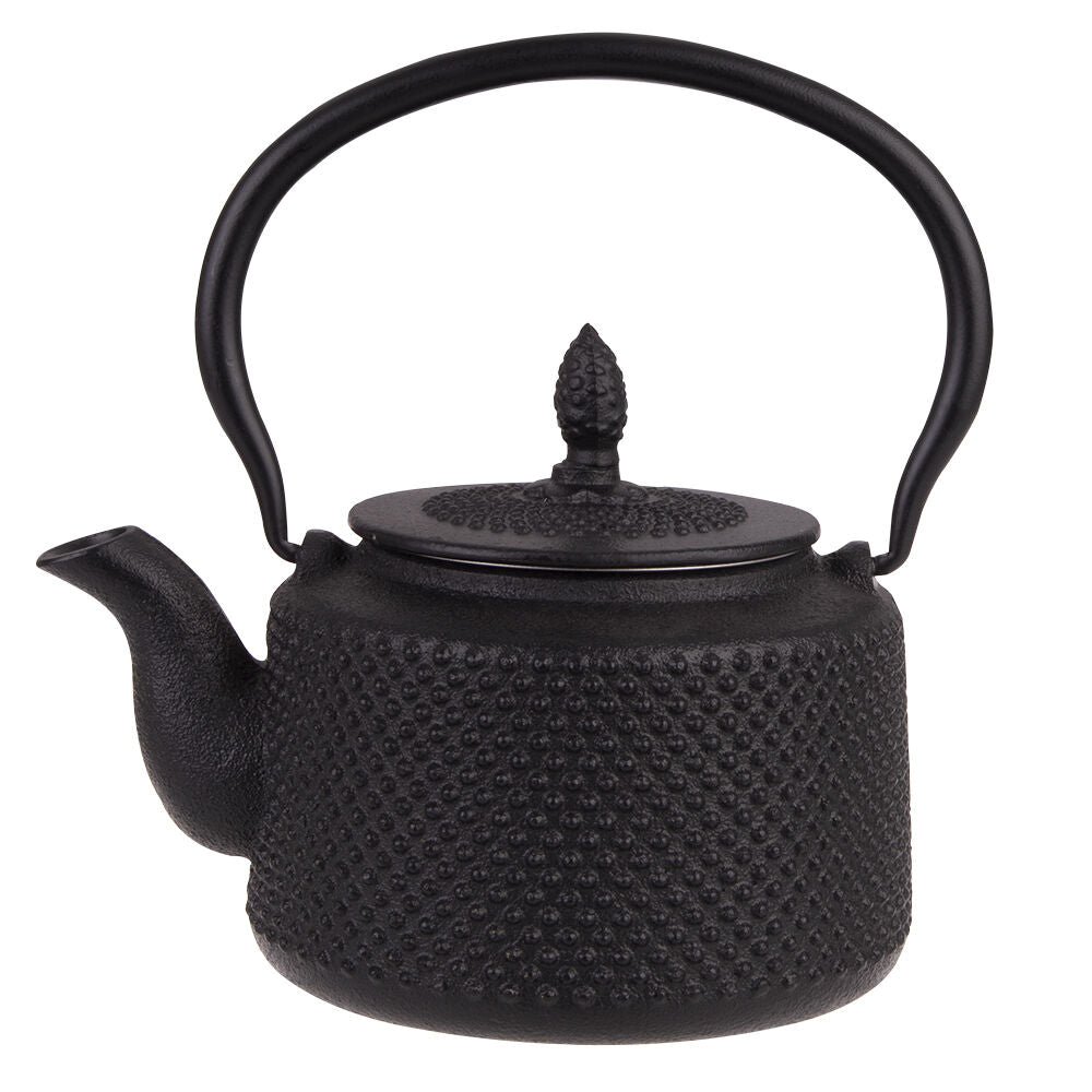 Teaology Traditional Japanese Design Durable Cast Iron Teapot 850ml Black
