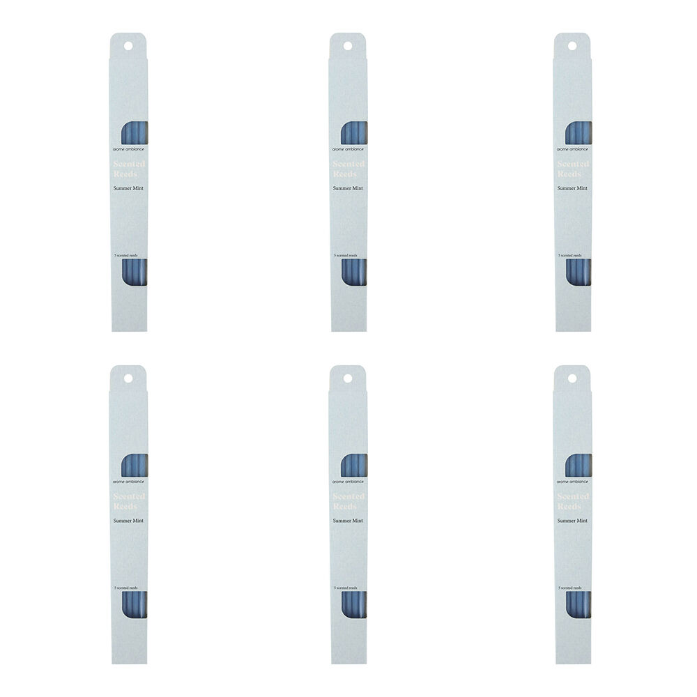 6x 5pc Arome Ambiance Scented Reeds 3.6x29cm Summer Mint - Blue