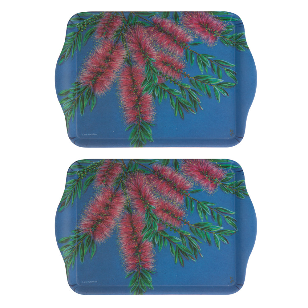 2x 2pc Ashdene Native Flora Bottle Brush Serving Platter Scatter Tray