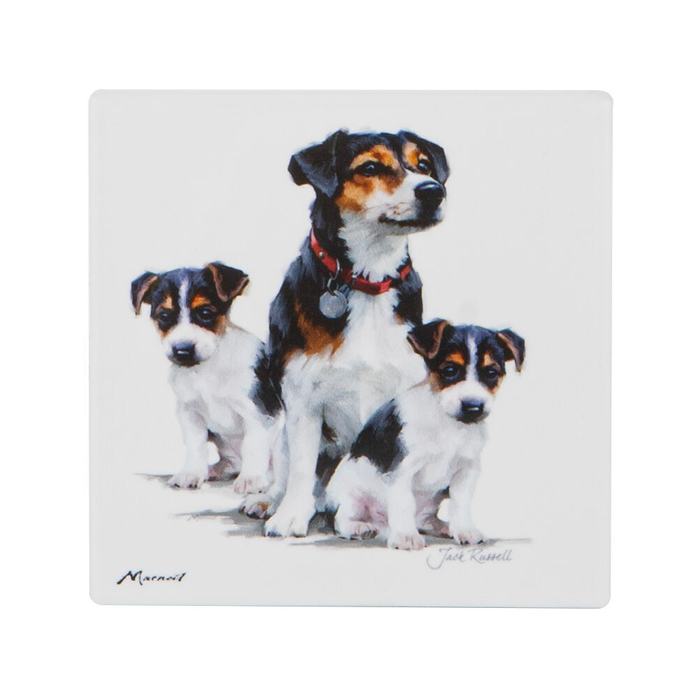 6PK Ashdene Puppy Love Jack Russell Ceramic Coaster Square 10x10cm