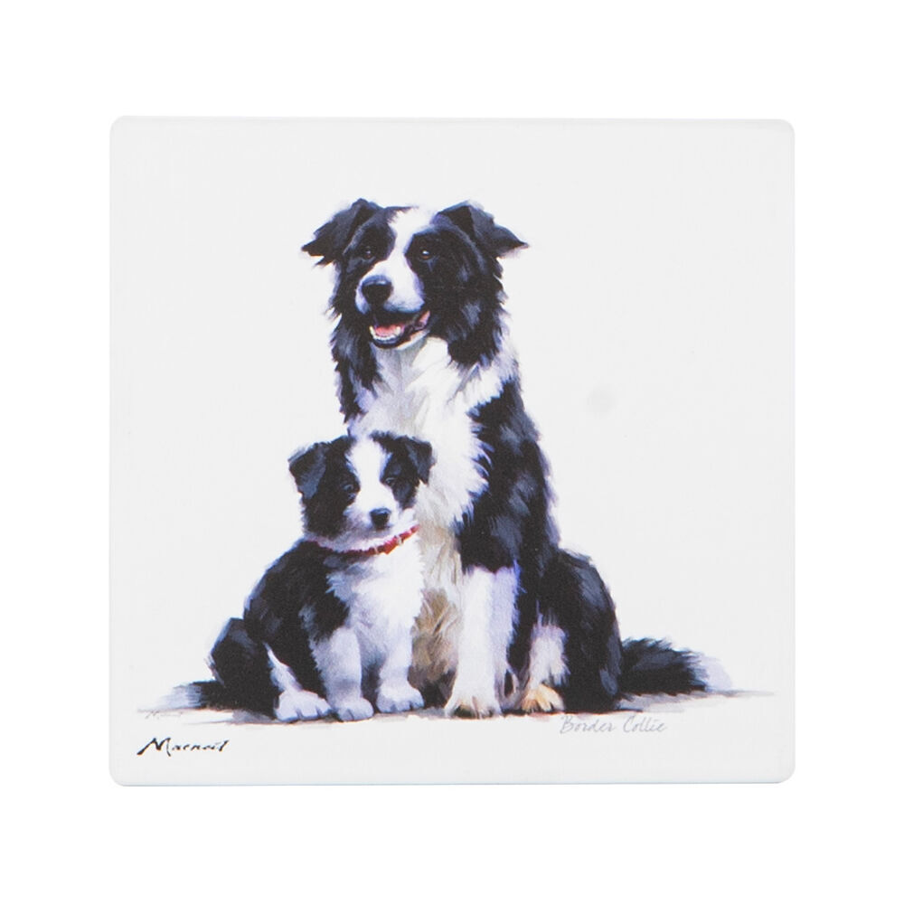 12PK Ashdene Puppy Love Border Collie Ceramic Coaster Square 10x10cm