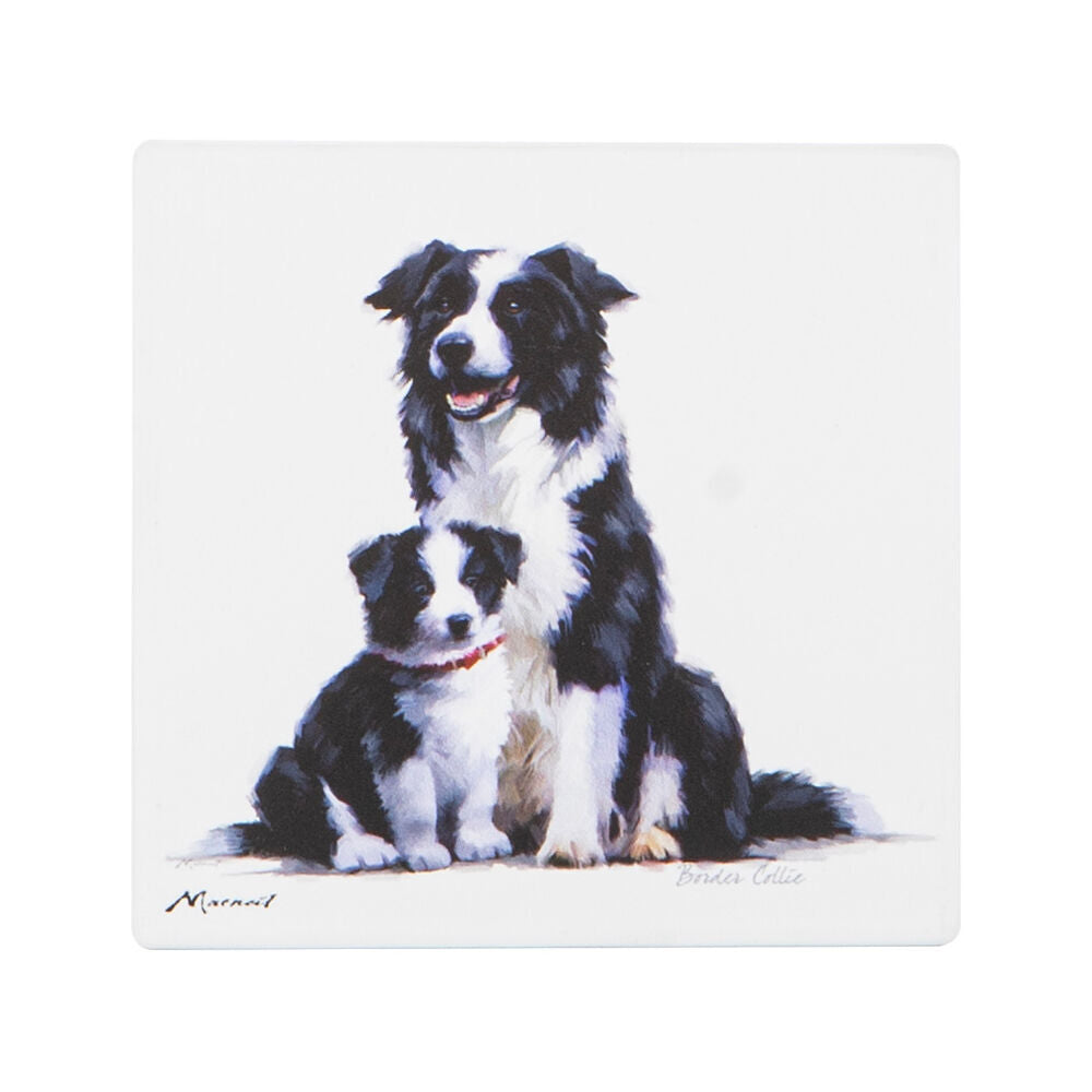 6PK Ashdene Puppy Love Border Collie Ceramic Coaster Square 10x10cm