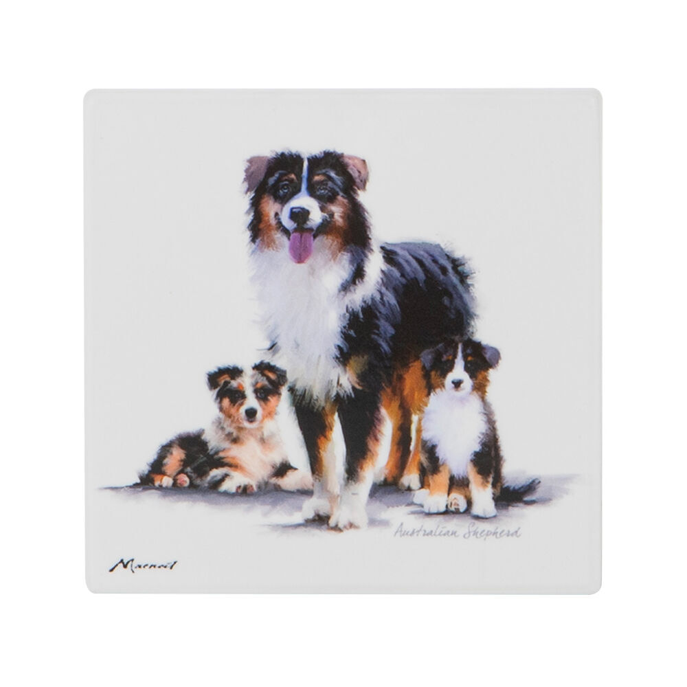 6PK Ashdene Puppy Love Australian Shepherd Ceramic Coaster Square 10x10cm