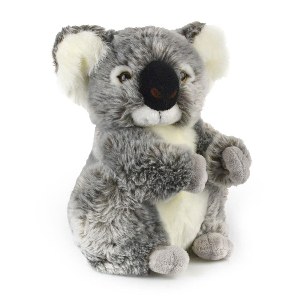 2PK Korimco 21cm Kalypso Koala Size - Small