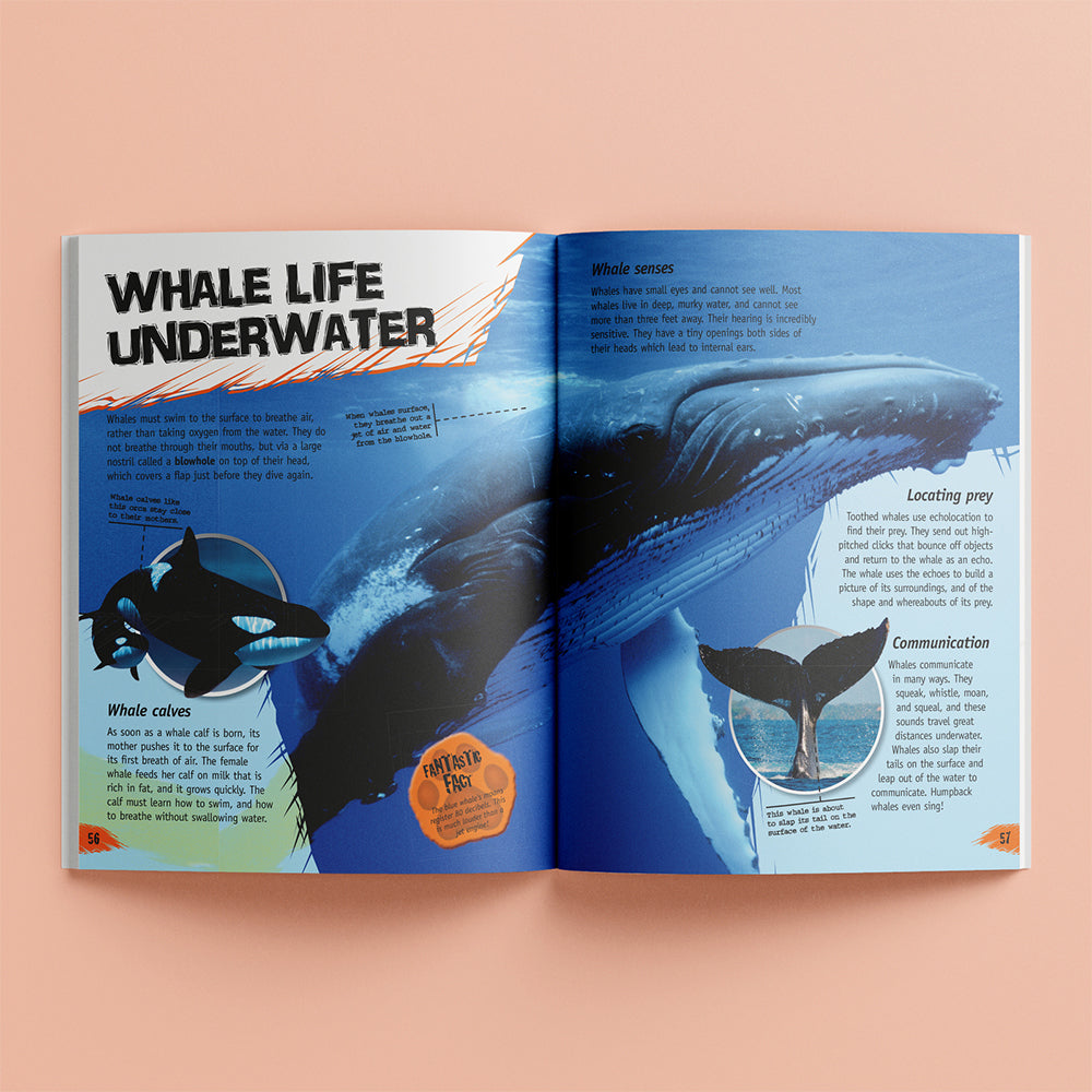 Curious Universe Incredible But True: Animals Kids/Childrens Fact Book 7y+