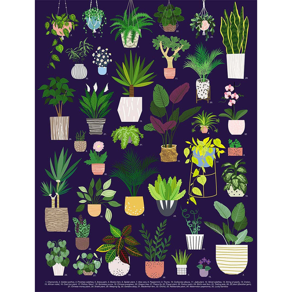Elevate The Power of Plants Mindful Wellness Book Kit