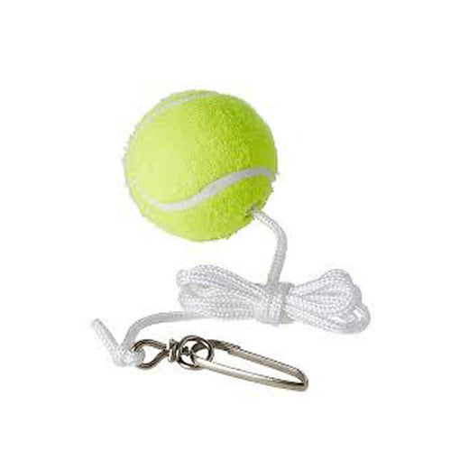 20556-regent-spin-tennis-spare-ball-replacement