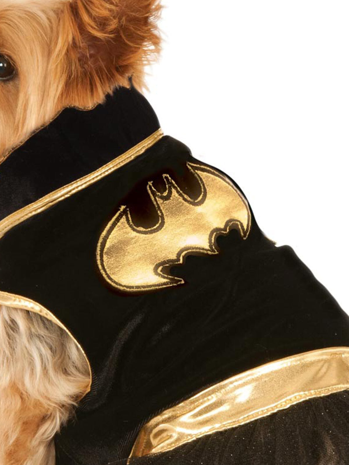 580323l-dc-comics-batgirl-pet-tutu-dress-pet-dress-up-costume-size-l