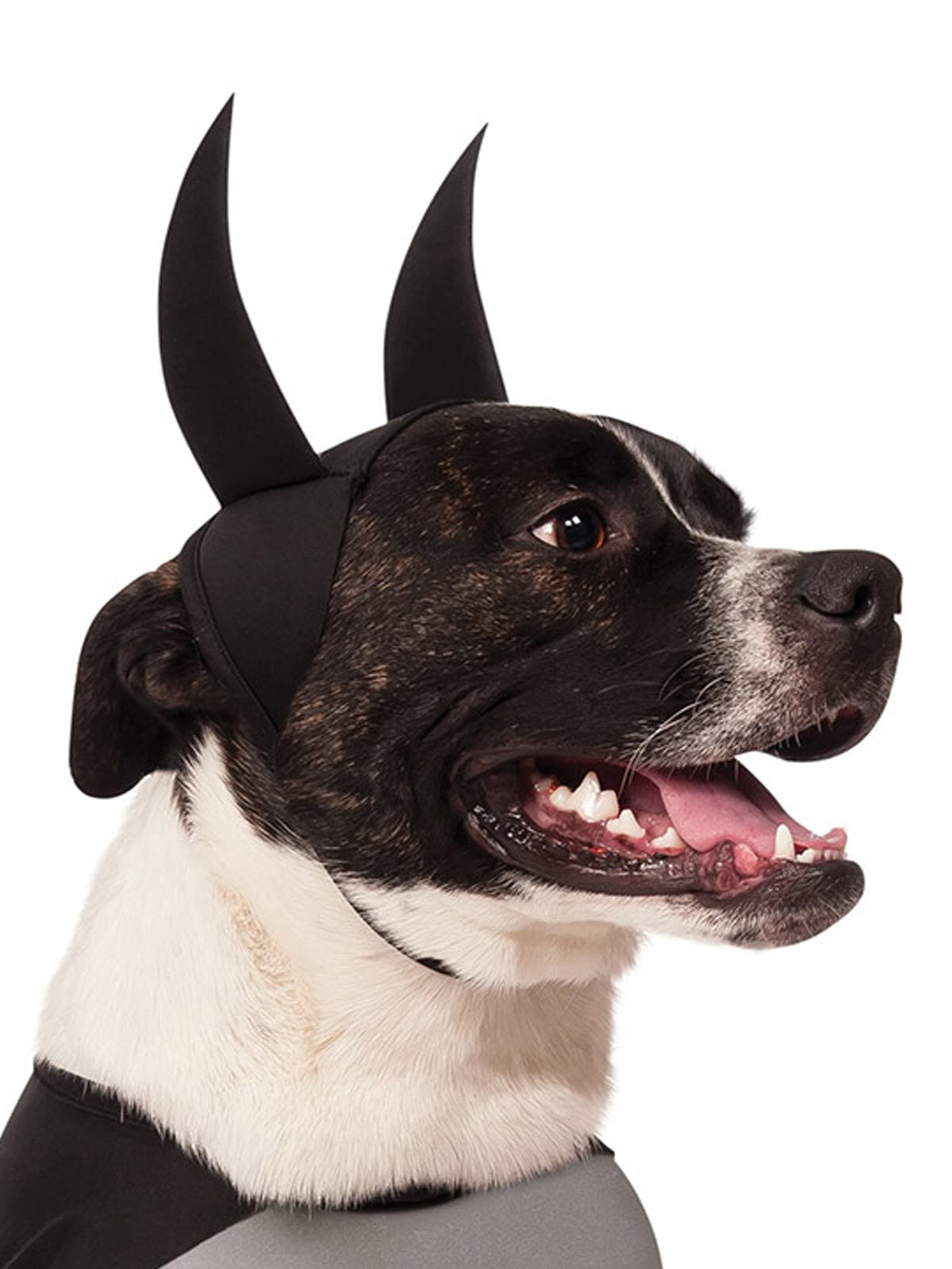 887891m-dc-comics-batman-classic-pet-dress-up-costume-size-m-for-dogs