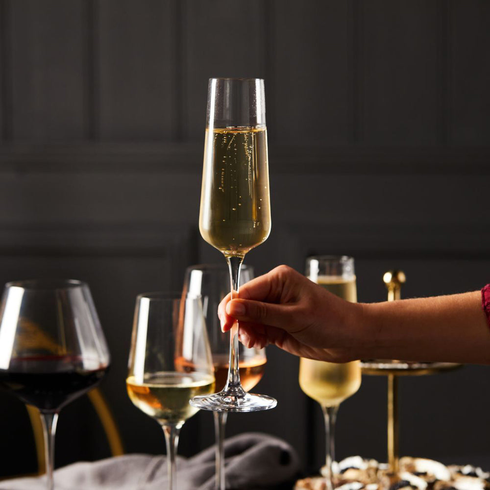 60174-stanley-rogers-barossa-champagne-flute-231ml-6pc-set