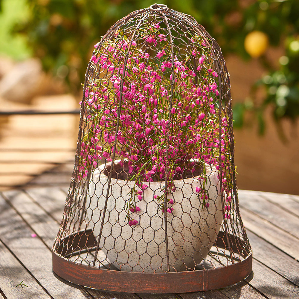 15297-round-metal-44cm-cloche-outdoor-garden-plant-protector-brown