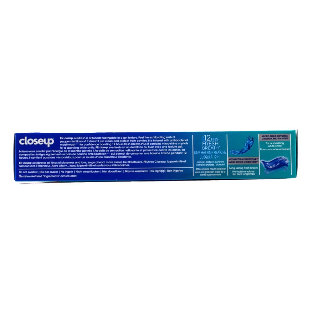 9PK Closeup Everfresh Fluoride Gel Toothpaste 90g - Menthol Paradise