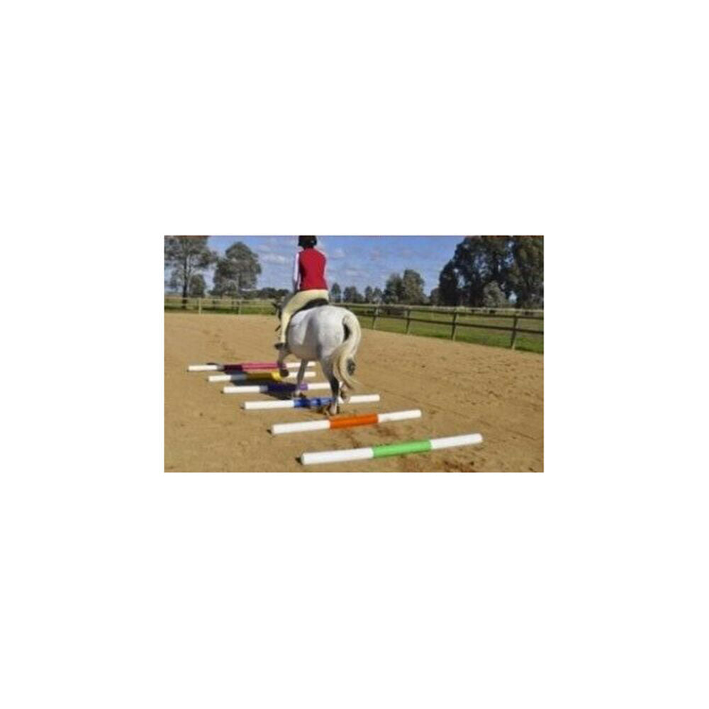 AgBoss Equestrian Show Jumping Jump Pole 2.4m Natural and Grey