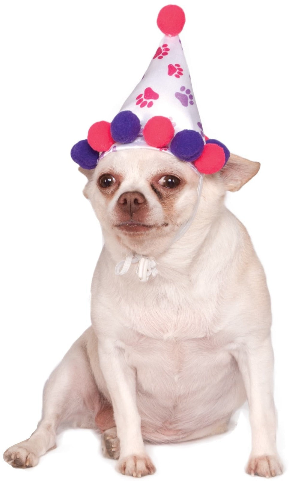 3PK Rubies Paw Print Girl Pet Birthday Hat Dog Costume - Size M-L