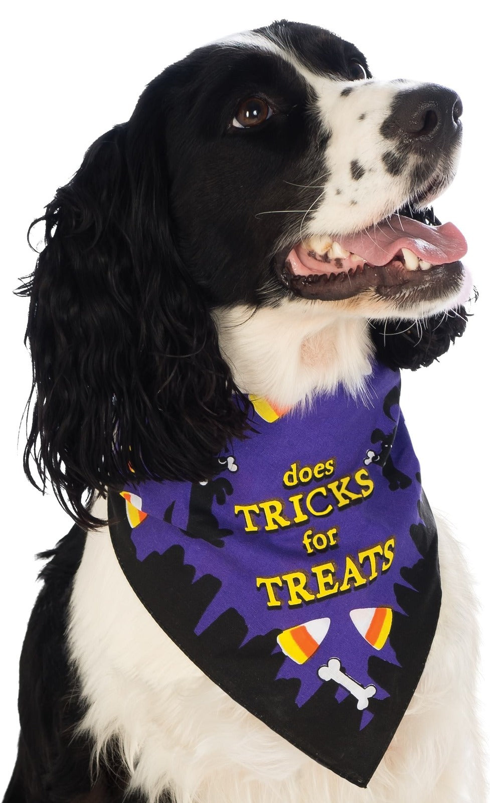 3PK Rubies Does Tricks For Treats Dog Bandana Costume - Size M-L