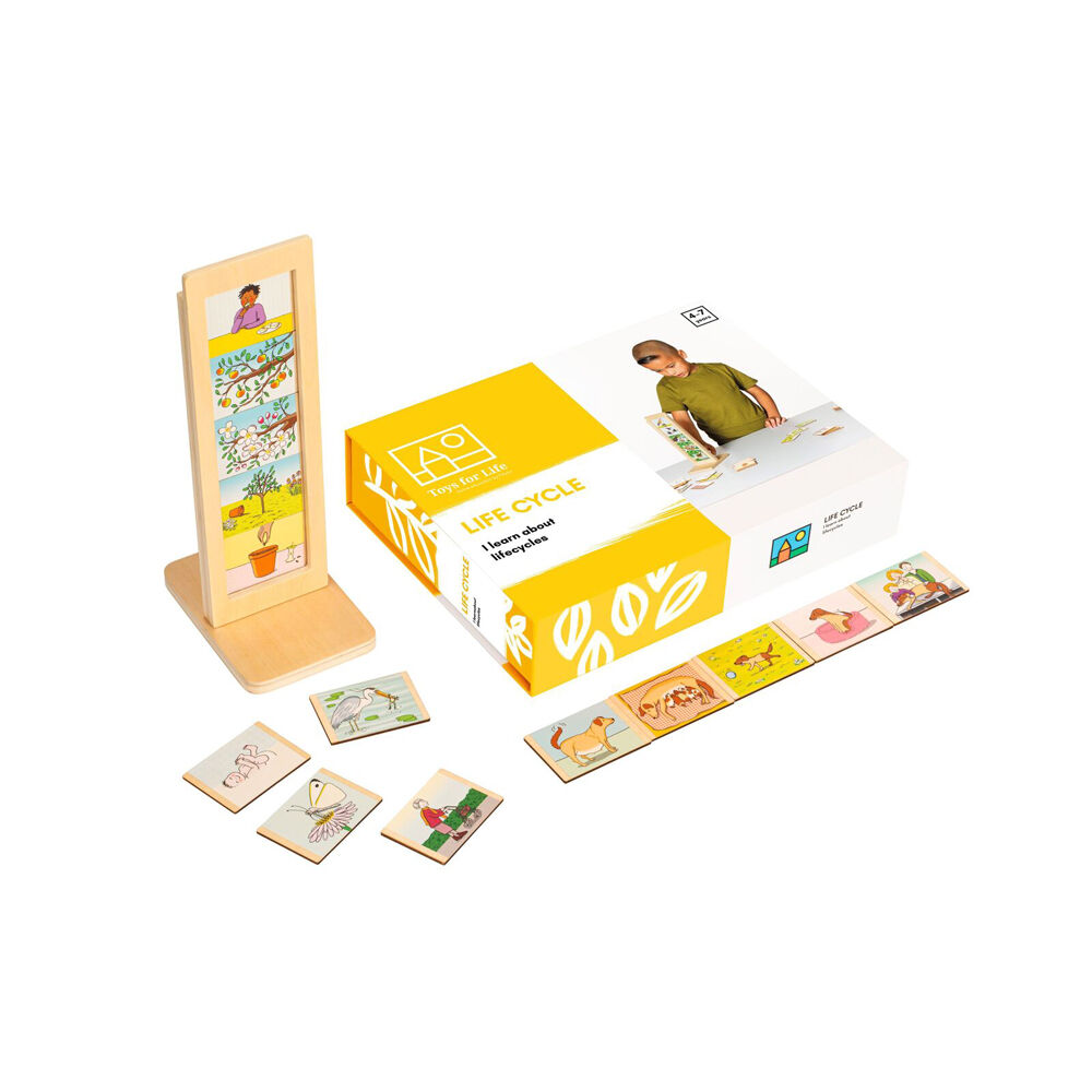 40pc TFL Life Cycle Lifecycle Educational Engagement Toy Kids/Children - 3y+