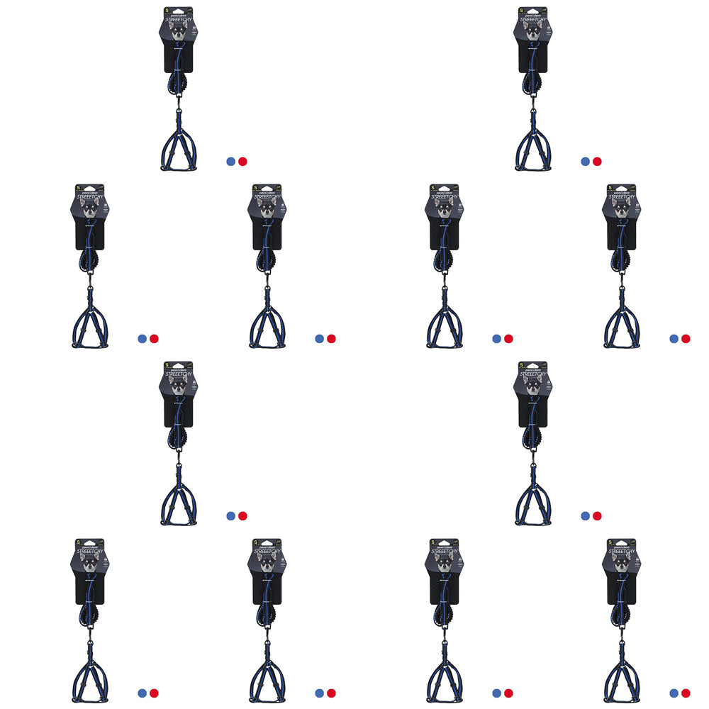 48pc Pawsnclaws Stretchy Dog/Pet Lead & Harness Assorted