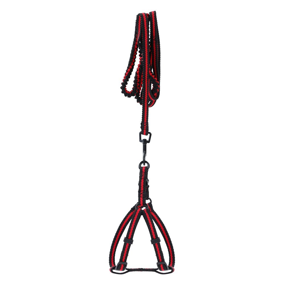 48pc Pawsnclaws Stretchy Dog/Pet Lead & Harness Assorted