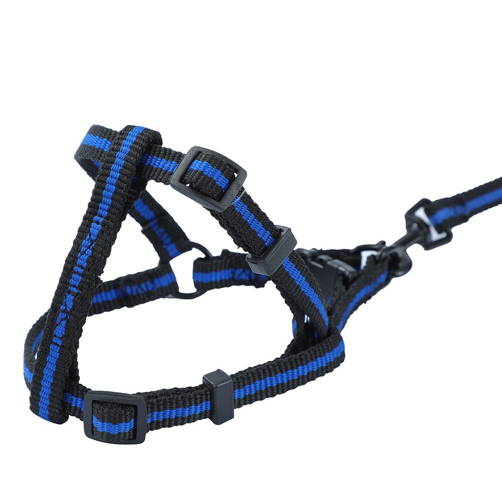 48pc Pawsnclaws Stretchy Dog/Pet Lead & Harness Assorted