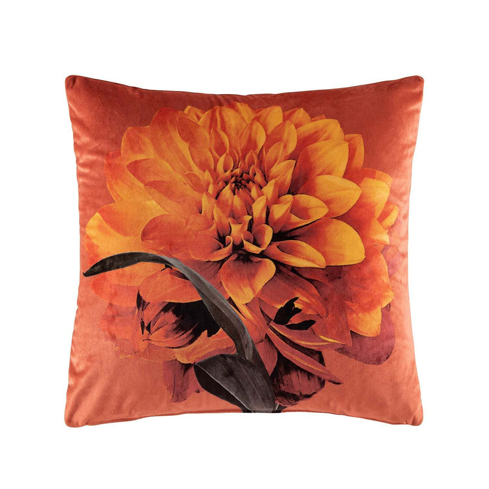 2PK Kas Australia Melody Filled Cushion Decor Square 50x50cm - Multicoloured