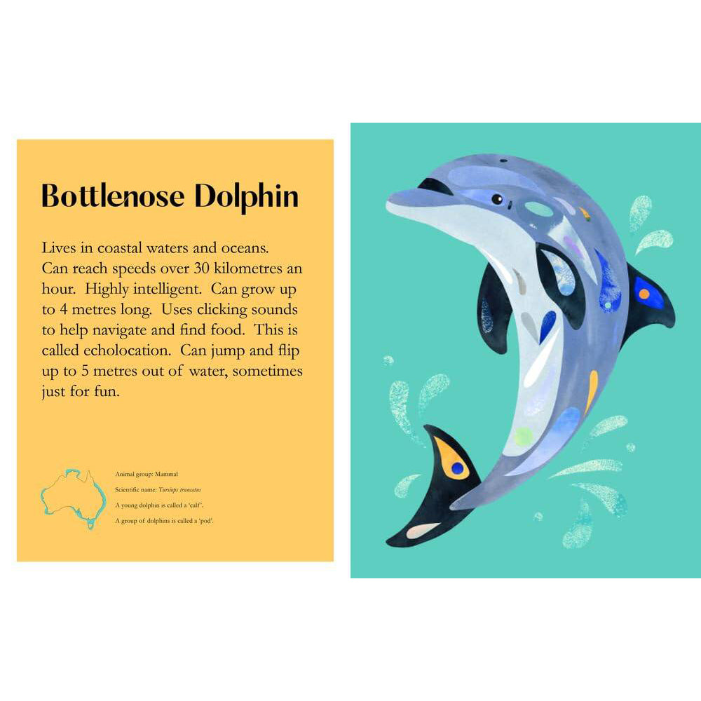 2PK Pete Cromer Sealife Kids Picture Book 4-9y