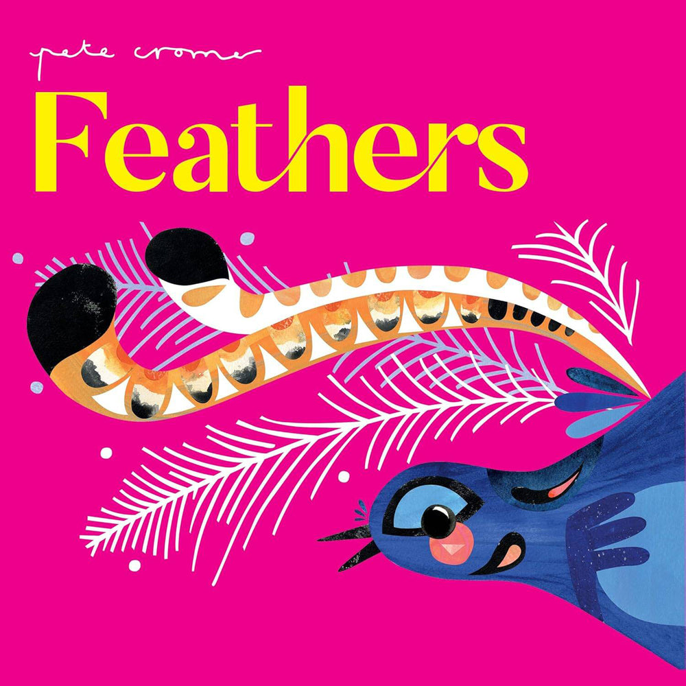 3PK Pete Cromer Feathers Kids Educational Board Book 0-3y