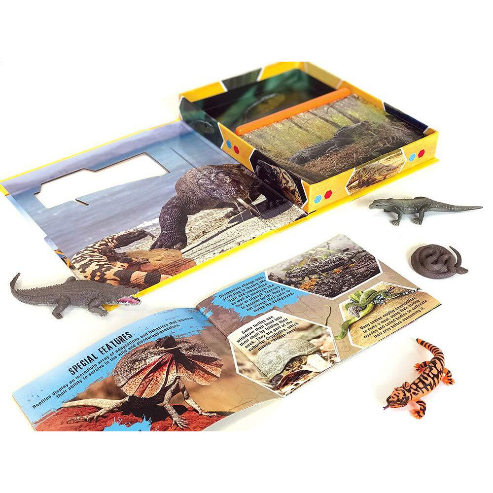 2PK Reptiles Pocket Explorers Kids/Children Educational Book 3y+