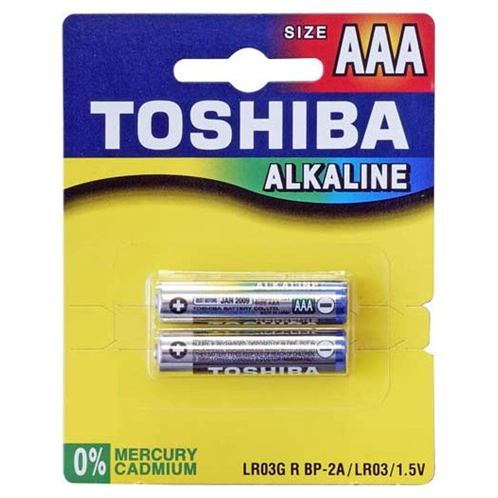 2 PACK AAA ALKALINE BATTERY