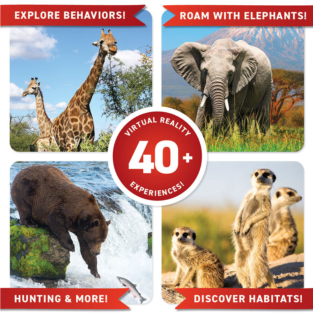 Abacus VR Gift Box Animals Kids Learning w/ Interactive Book 8y+