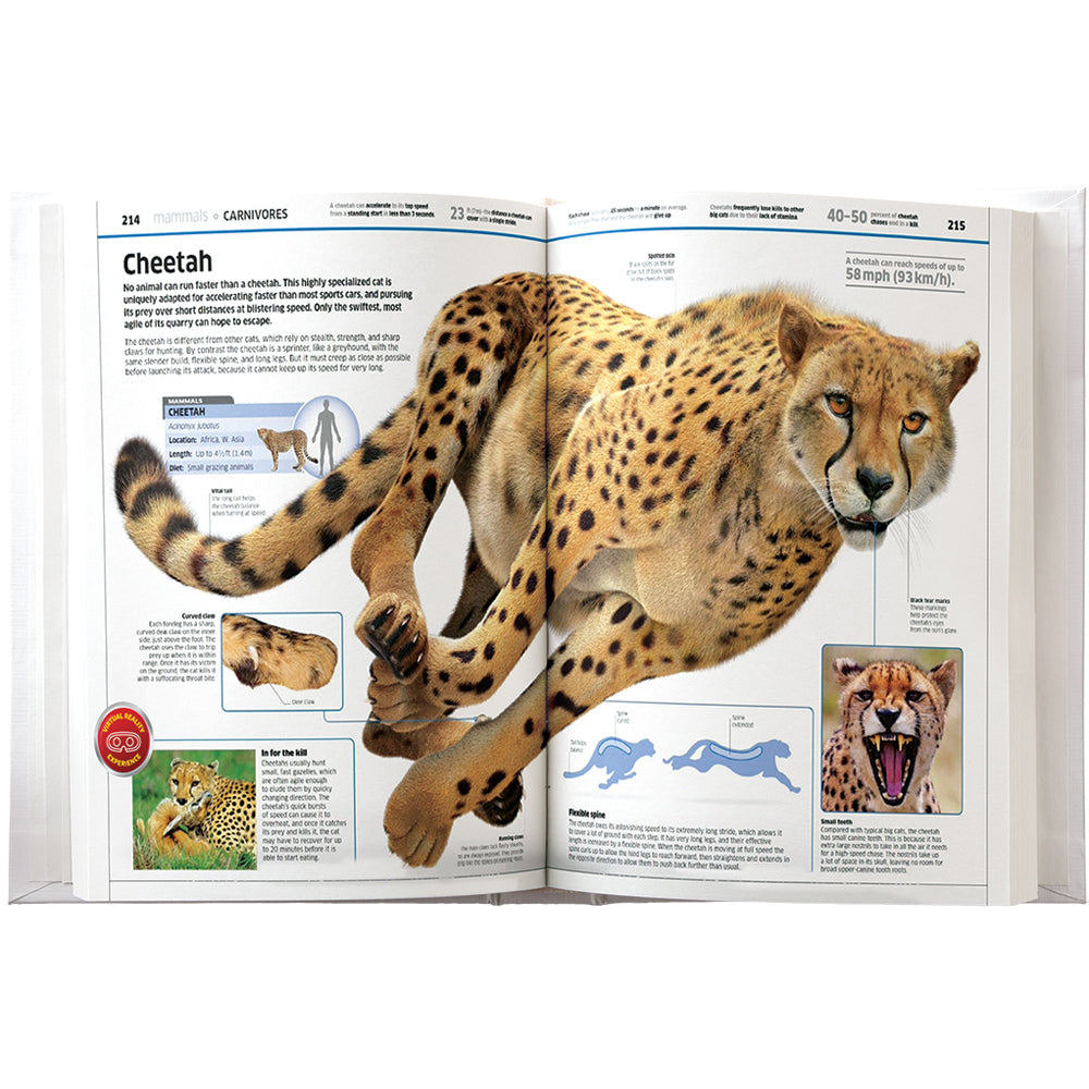 Abacus VR Gift Box Animals Kids Learning w/ Interactive Book 8y+