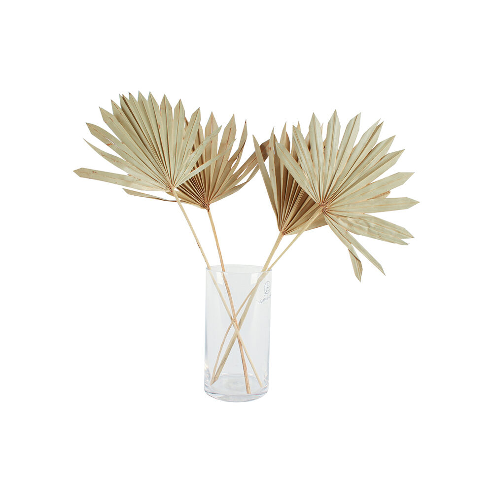 2x 2pc Maine & Crawford 55cm Artificial Sun Spear Plant - Natural