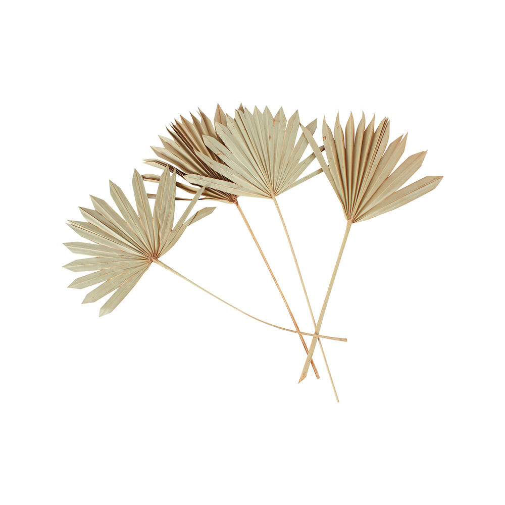 2x 2pc Maine & Crawford 55cm Artificial Sun Spear Plant - Natural