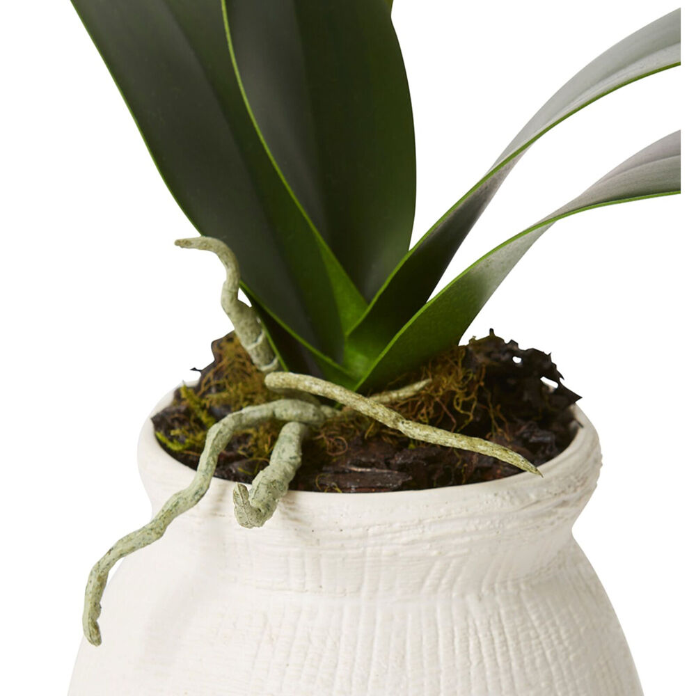 E Style Phalaenopsis Grand Wanda Flower Vase Artificial Decor 45cm White