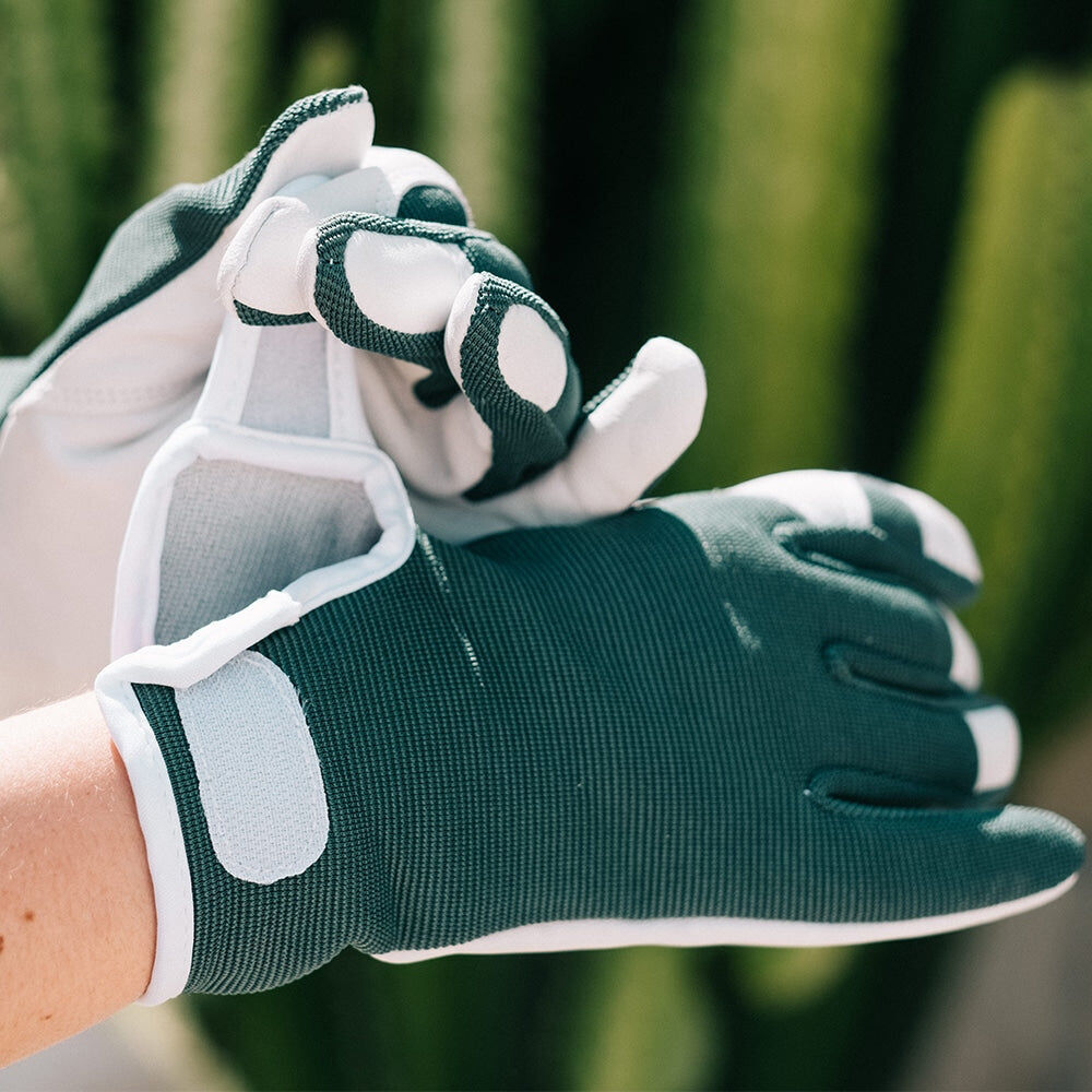 2pc Annabel Trends Second Goat Skin Gloves Unisex 25x11cm - Smokey Pine