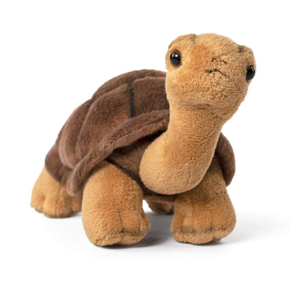 Living Nature 20cm Tortoise Stuffed Animal Plush Kids Toy Brown