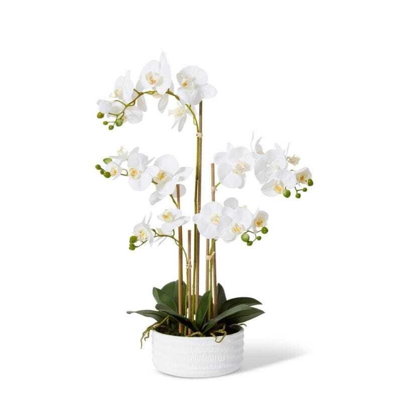 E Style Artificial 65cm Plastic Phalaenopsis Textured Bowl - White