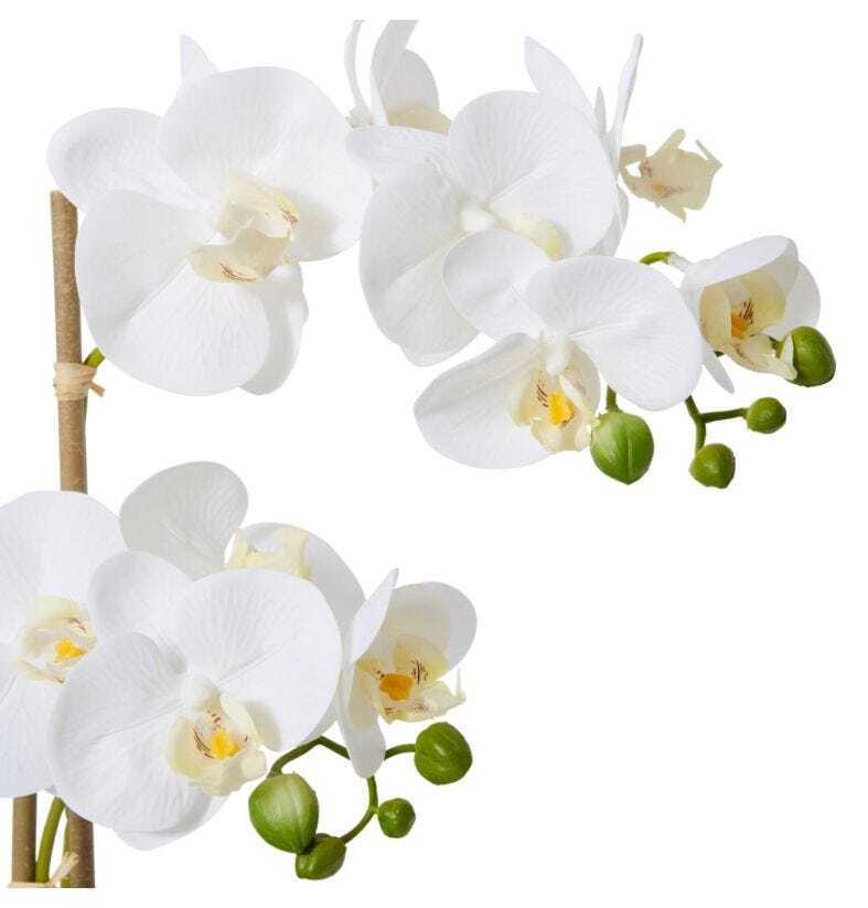 E Style Artificial 65cm Plastic Phalaenopsis Textured Bowl - White