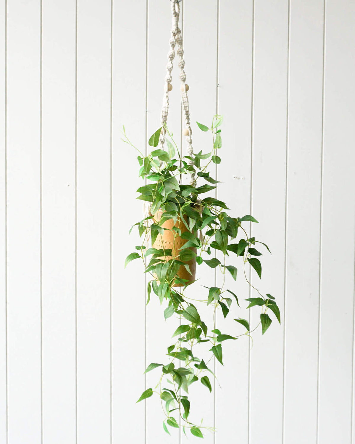 Rayell Large Lacey Hanging Pot/Planter Mustard 10x18.5x10cm
