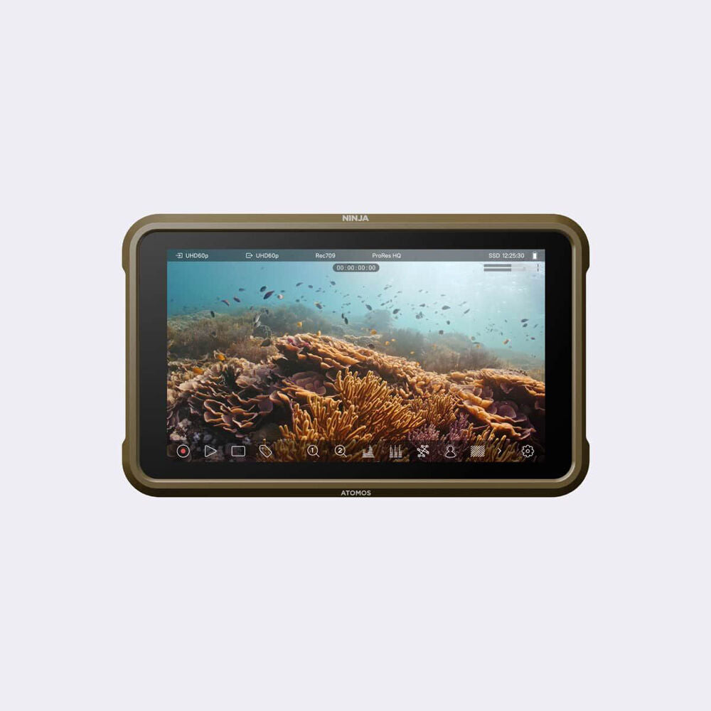 Atomos Ninja 5 Inch 4Kp60 HDR Portable Monitor/Recorder for HDMI Cameras Gold