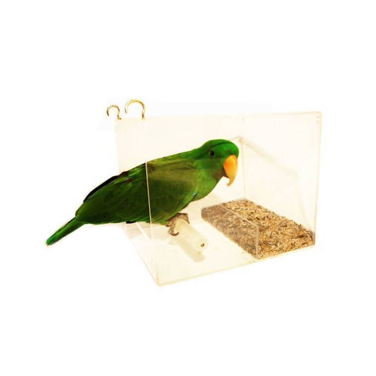 SeedMate Garden/Outdoor Acrylic Hanging Bird Feeder Large - Clear
