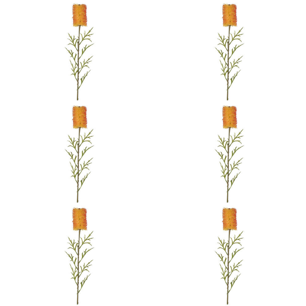 6PK Belle Banksia Single Stem Home Decorative Plant 70cm Red