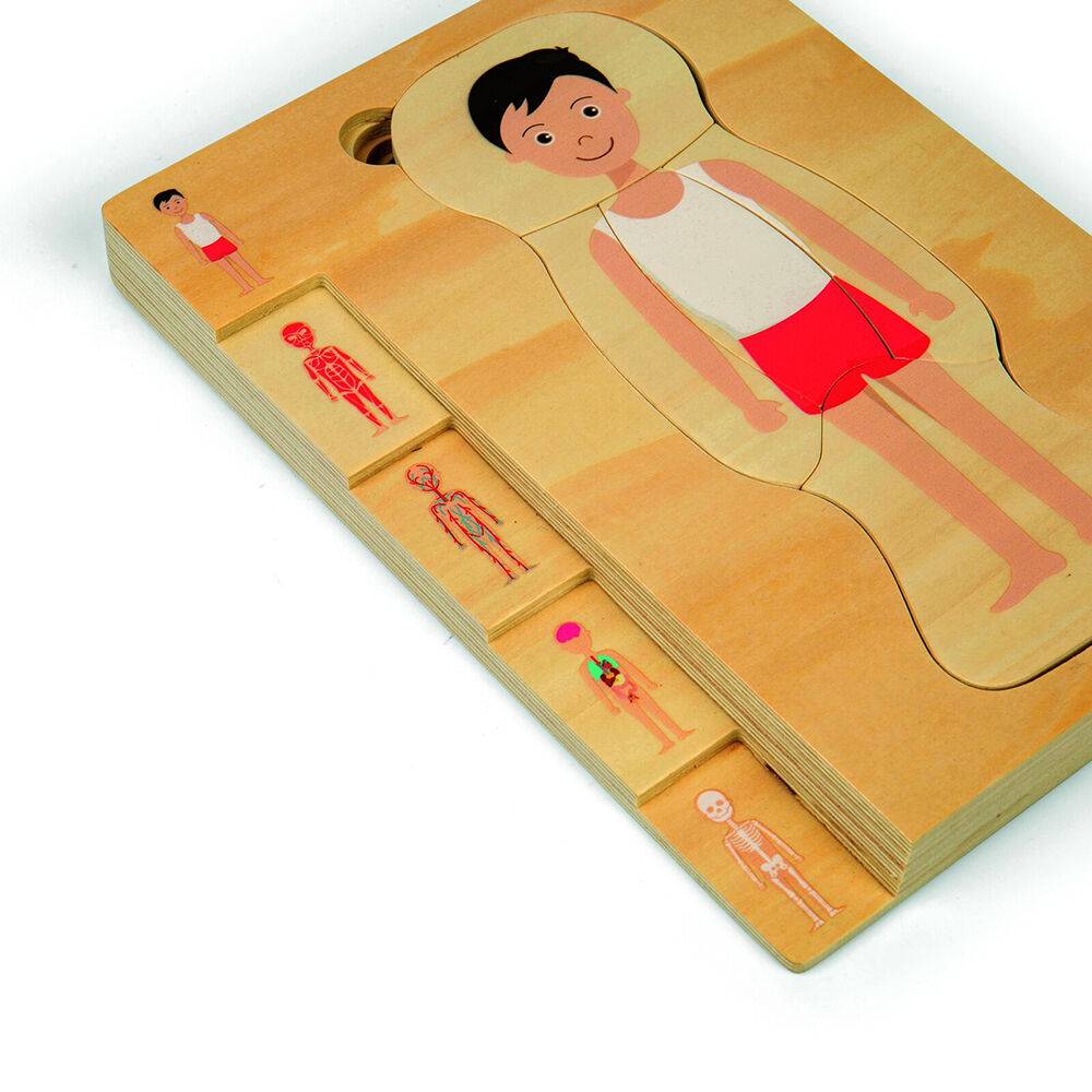 Bigjigs Toys Wood Anatomy PuzzleBoy Educational Kids Puzzles Toys 25x18cm 3y+