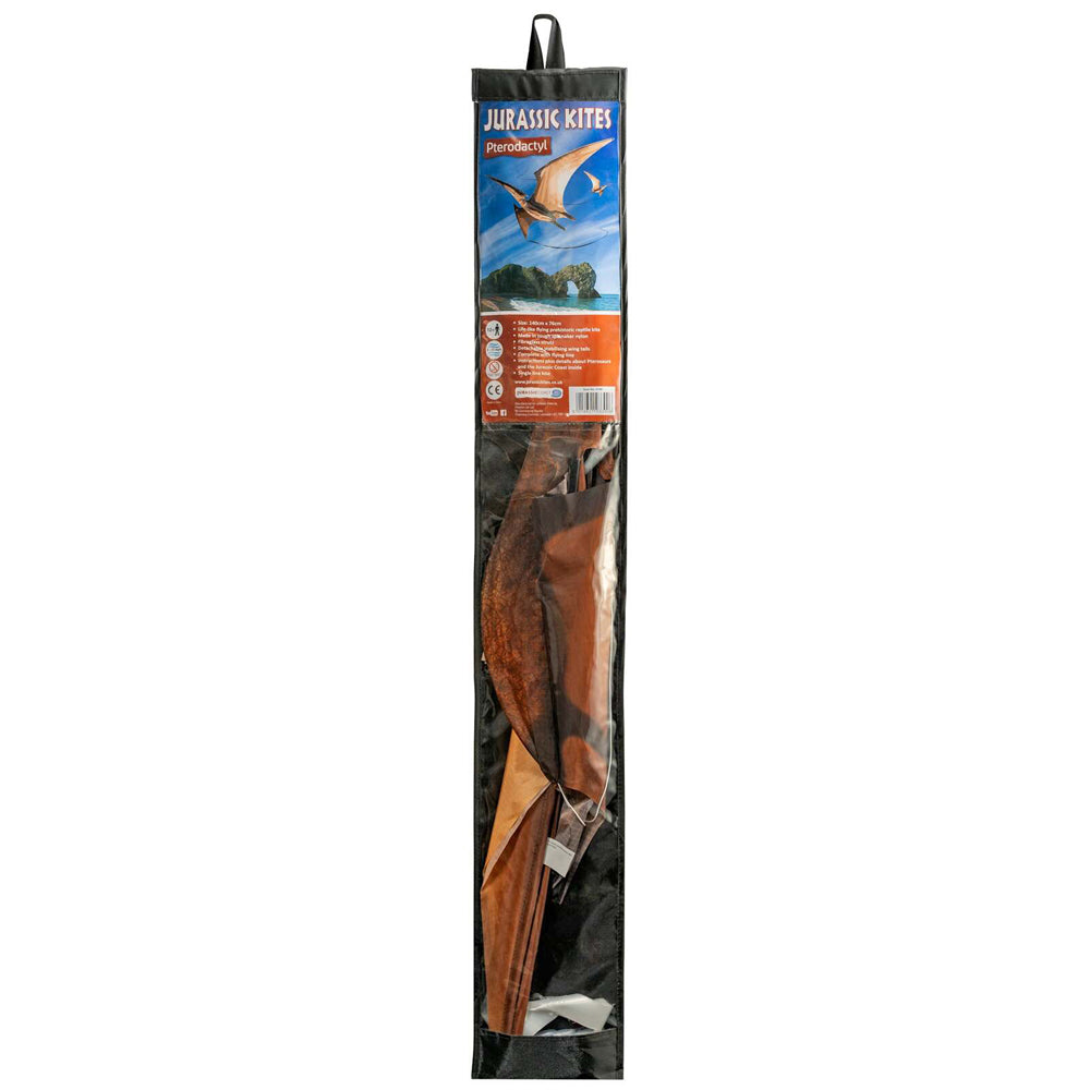 Brookite Pterodactyl Jurassic Kite Kids Outdoor 140cm Flying Toy 3y+